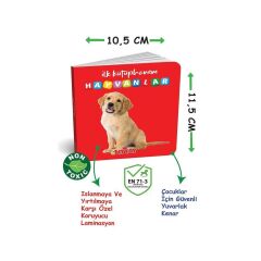 2090 Dıytoy, İlk Kütüphanem-İlk Sözcükler 8'Li Mini Kitap Seti