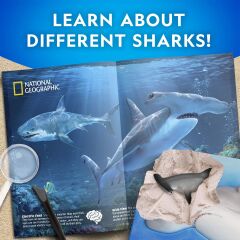 NAT07002 National Geographic Köpek Balığı Bulma Kiti - TRHAMSHDIG +6 yaş