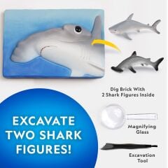 NAT07002 National Geographic Köpek Balığı Bulma Kiti - TRHAMSHDIG +6 yaş