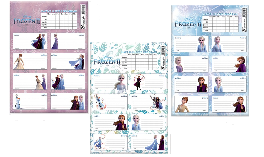 Keskin Color Frozen 2 220130 Ders Programlı Okul Etiketi 3 Set